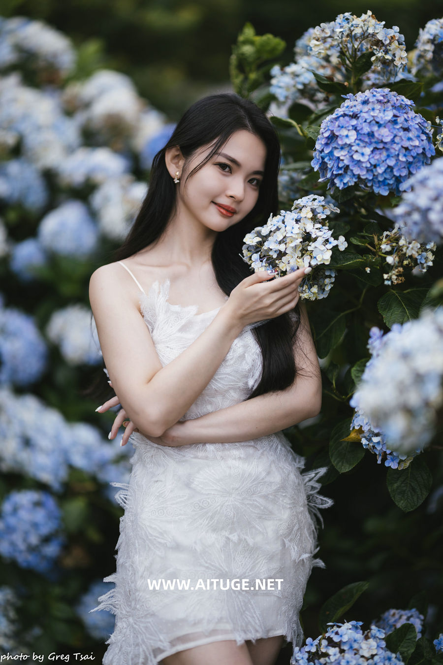 米浆 - 绣球花 [126P-286MB]